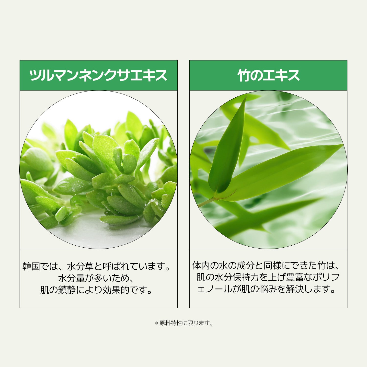 VEGANIFECT（ヴィーガンイフェクト公式） モイスチャークリーム50g