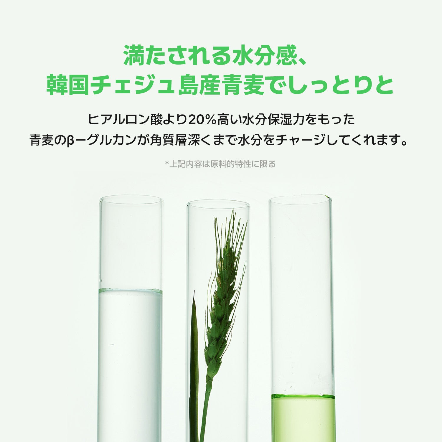 VEGANIFECT（ヴィーガンイフェクト公式） 青麦アロエラッピングマスク80ml（＋スパチュラ付き）