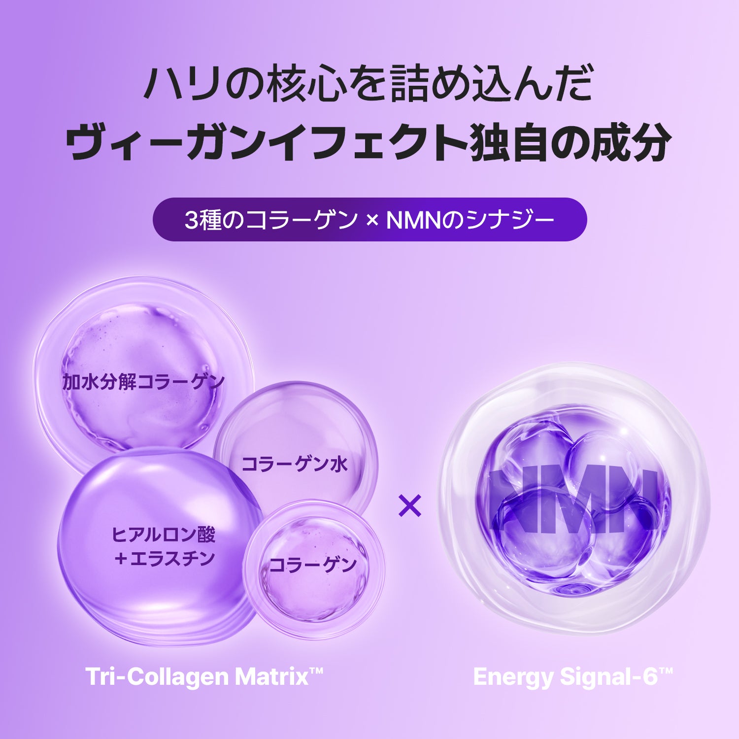 VEGANIFECT（ヴィーガンイフェクト公式） コラーゲンNMNセラム30ml