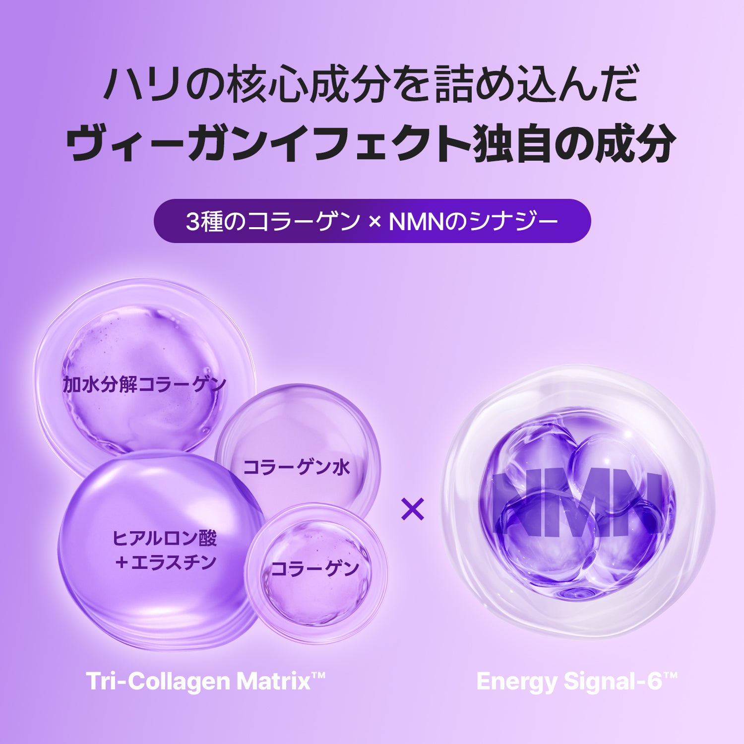 VEGANIFECT（ヴィーガンイフェクト公式） コラーゲンNMNトナーパッド （70枚）