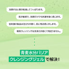 VEGANIFECT（ヴィーガンイフェクト公式）青麦LHAクレンジングジェル205ml